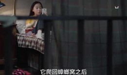 大三学姐爆料视频,校园生活那些不为人知的真相